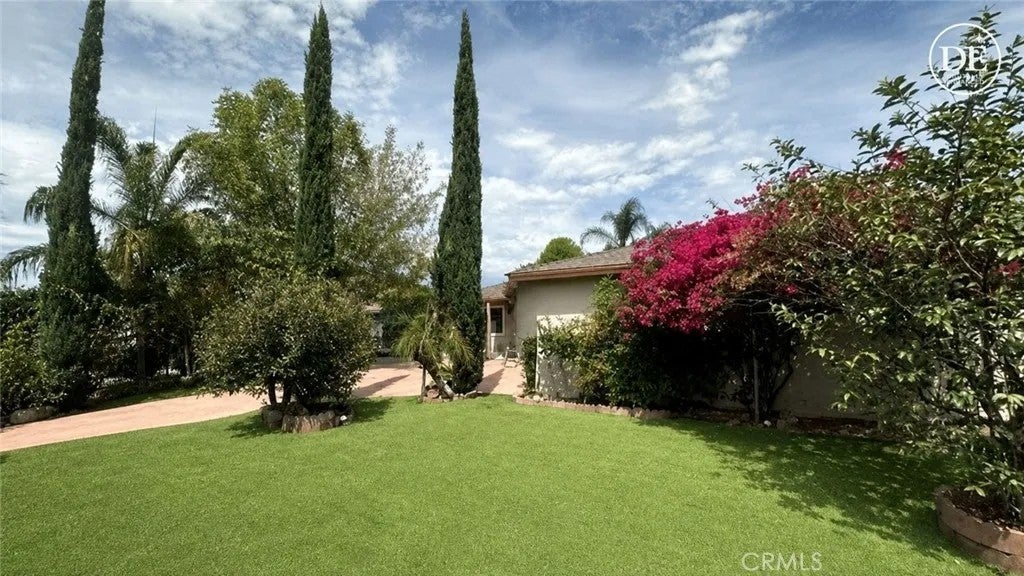 27150 Cypress
