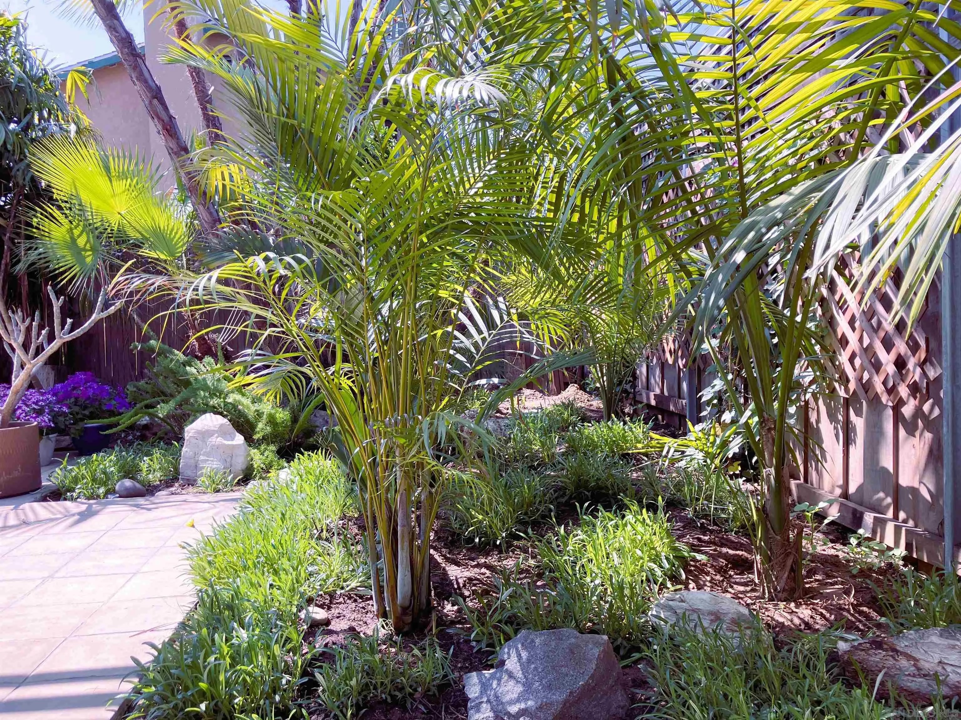 4727 Mount Frissell Drive