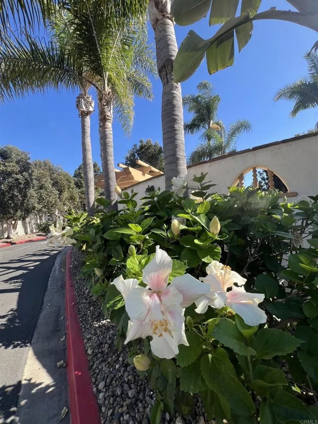 Photo of 4241 Loma Riviera Lane, San Diego, CA 92110 (MLS # NDP2604207)