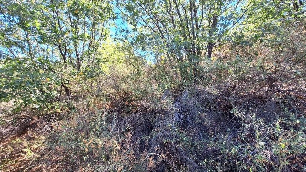 Photo of 0 Coulter, Cedar Glen, CA 92321 (MLS # IV26022245)
