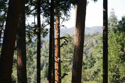 Tiny photo for 32811 Birch Hill Road, Palomar Mountain, CA 92060 (MLS # NDP2509603)