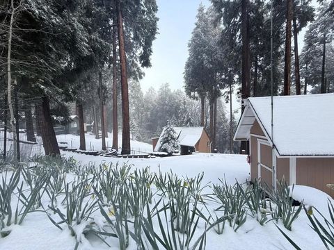 Photo of 32811 Birch Hill Road, Palomar Mountain, CA 92060 (MLS # NDP2509603)