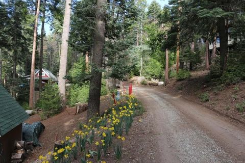 Tiny photo for 32811 Birch Hill Road, Palomar Mountain, CA 92060 (MLS # NDP2509603)