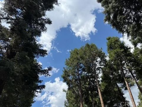 Tiny photo for 32811 Birch Hill Road, Palomar Mountain, CA 92060 (MLS # NDP2509603)