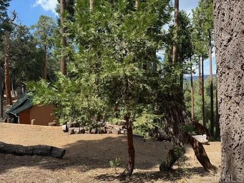 Tiny photo for 32811 Birch Hill Road, Palomar Mountain, CA 92060 (MLS # NDP2509603)
