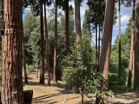 Tiny photo for 32811 Birch Hill Road, Palomar Mountain, CA 92060 (MLS # NDP2509603)