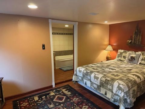 Tiny photo for 32811 Birch Hill Road, Palomar Mountain, CA 92060 (MLS # NDP2509603)