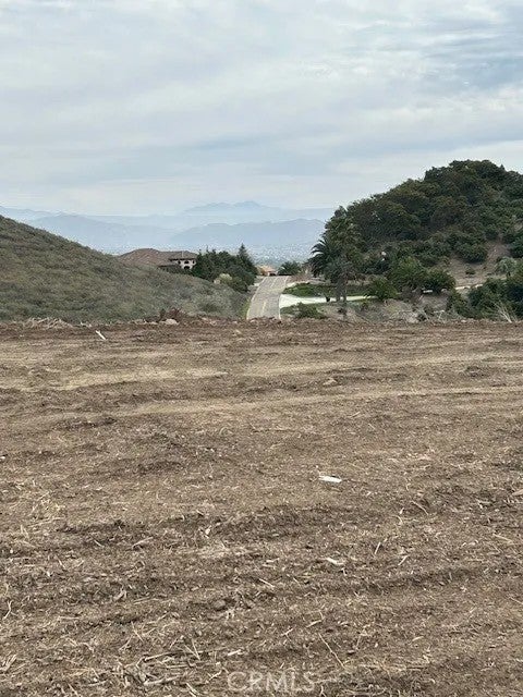 15 Camino Gatillo