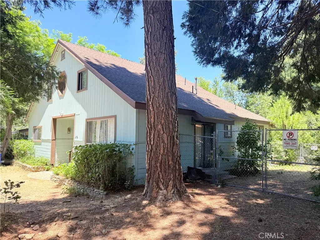 295 Spruce