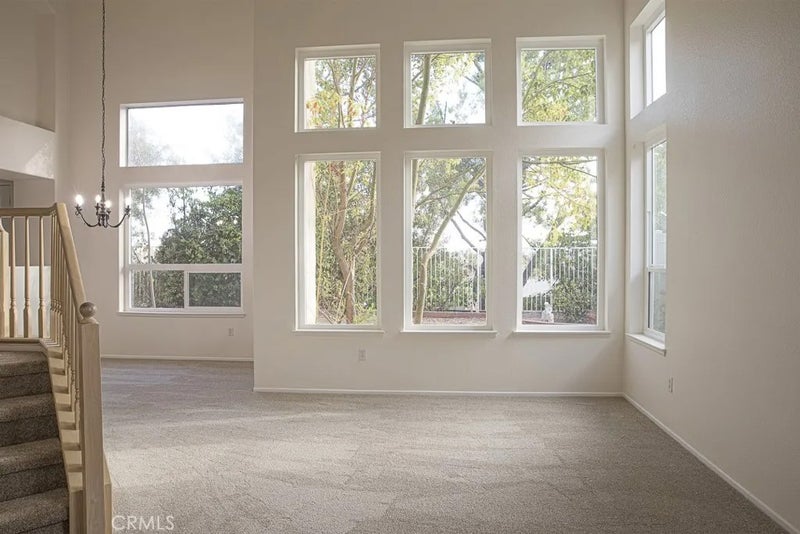 9124 Camphor Tree Court