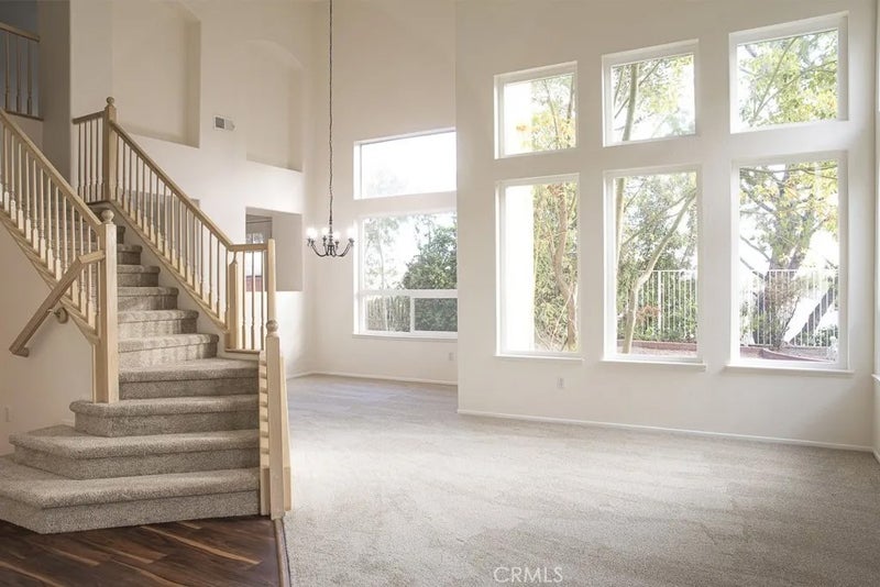 9124 Camphor Tree Court