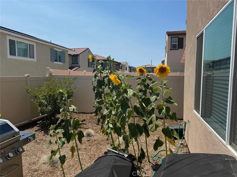 36612 Desert Tortoise Road
