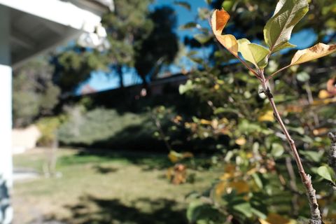 Tiny photo for 4835 Glenhaven Dr, Oceanside, CA 92056 (MLS # 250045473)