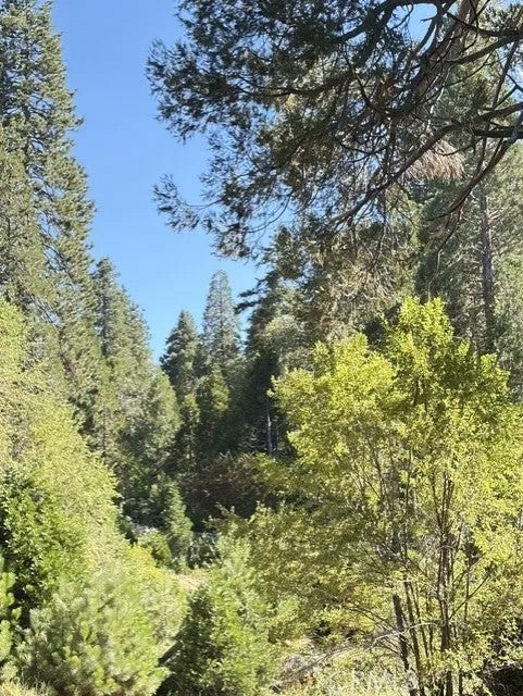 27263 State Highway 189