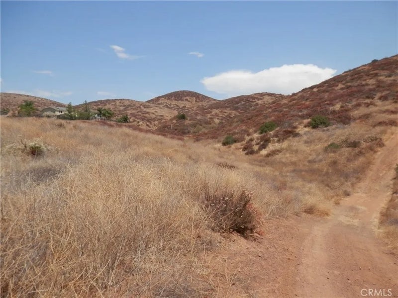 0 Acacia