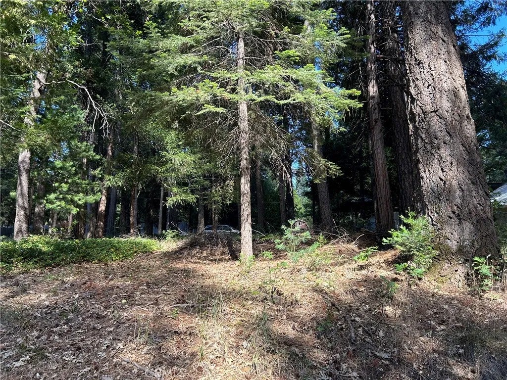 Photo of 0 Asheville, Magalia, CA 95954 (MLS # PA26141068)