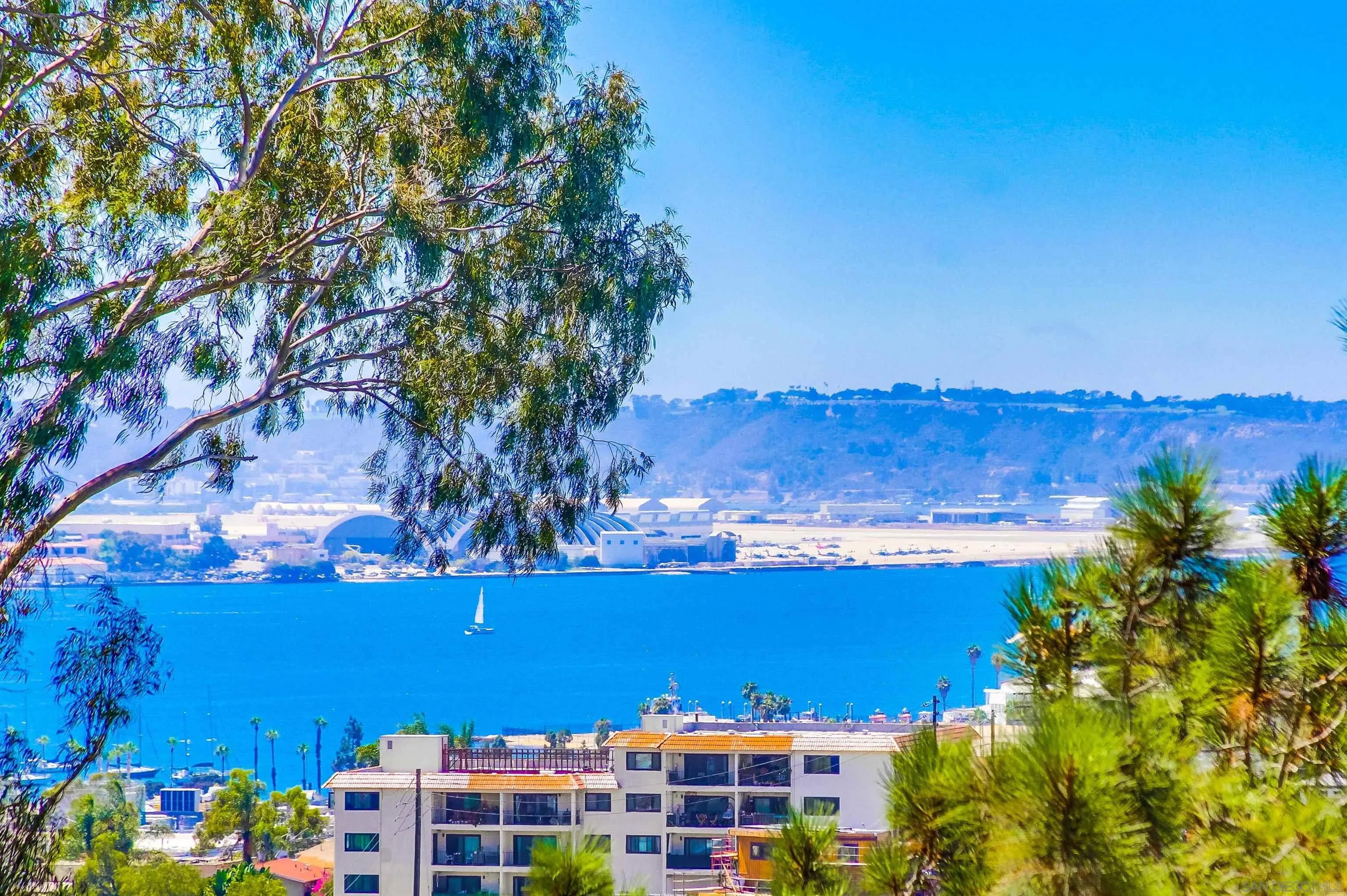 2854 Albatross Street