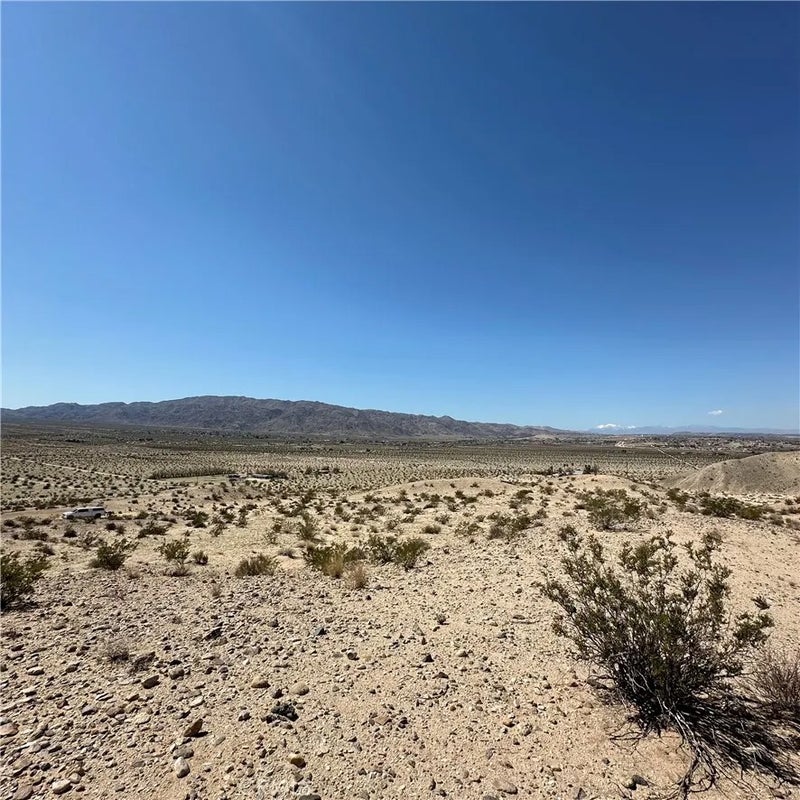 1234 Buena Vista