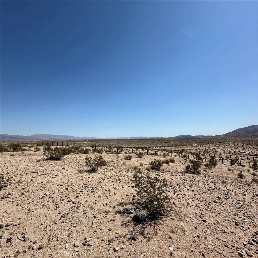 1234 Buena Vista