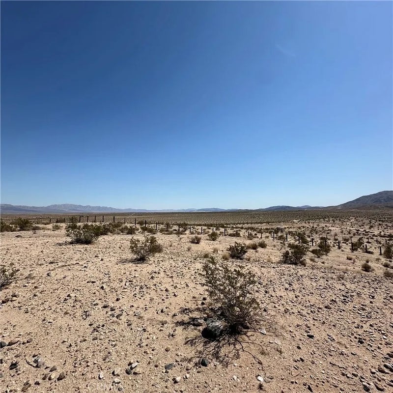 1234 Buena Vista