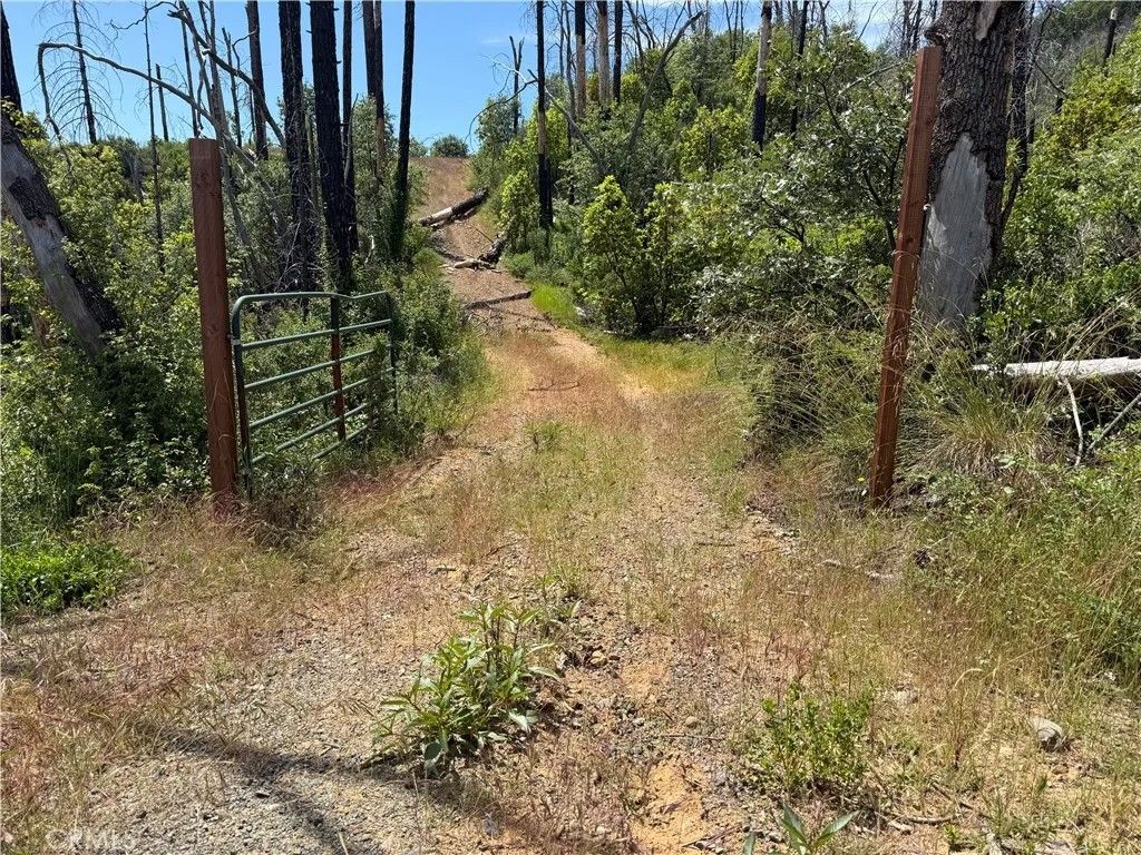 Photo of 1833 Hunter Point Dr, Upper Lake, CA 95485 (MLS # LC26112708)
