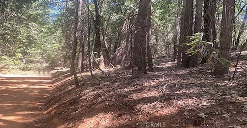 15052 Red Hill Spring