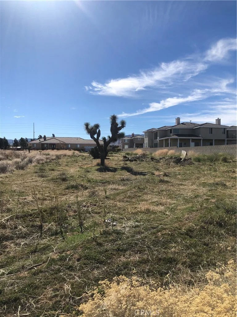 0 Vac/Vic Avenue M14/35th Stw