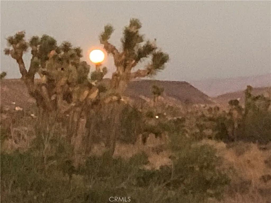 Photo of 100 Gods Way Love Rd, Pioneertown, CA 92268 (MLS # JT26162893)
