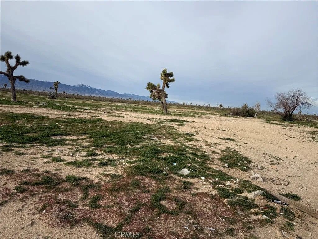 Photo of 14650 Manada, Phelan, CA 92371 (MLS # HD26012037)