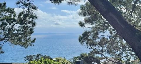 Photo of 271 Ocean View Avenue, Del Mar, CA 92014 (MLS # NDP2601968)