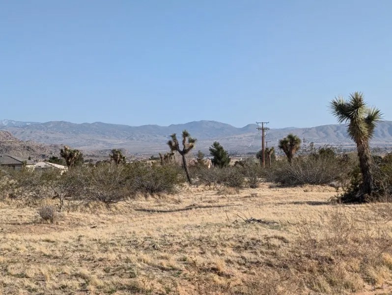 0 Cuyama