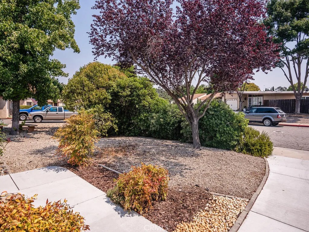 1633 Shepherd Drive