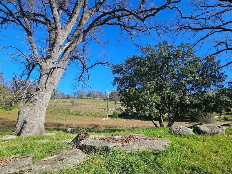 59366 Road 225
