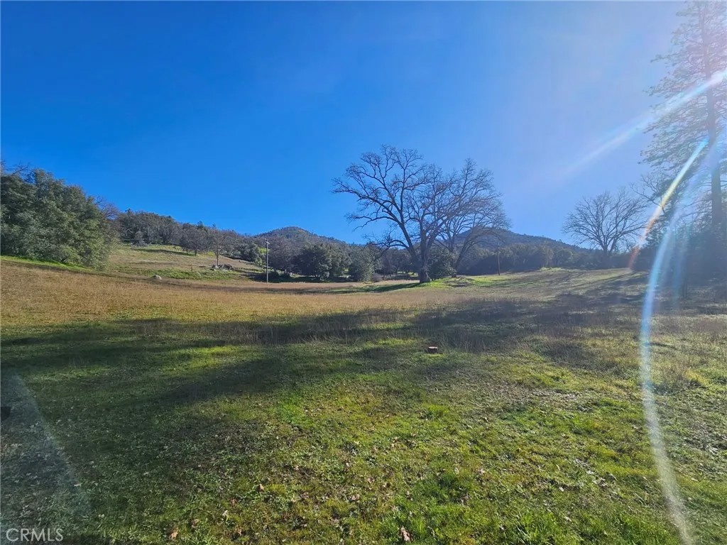 59366 Road 225