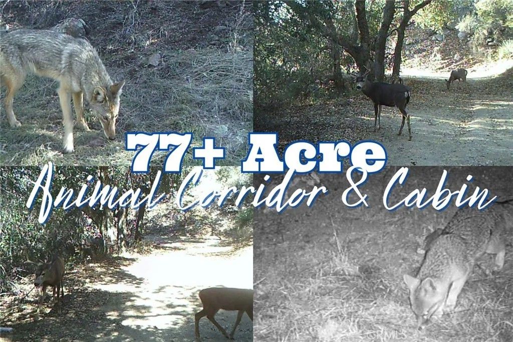 Photo of 28618 Chihuahua Valley, Warner Springs, CA 92086 (MLS # ND26000148)