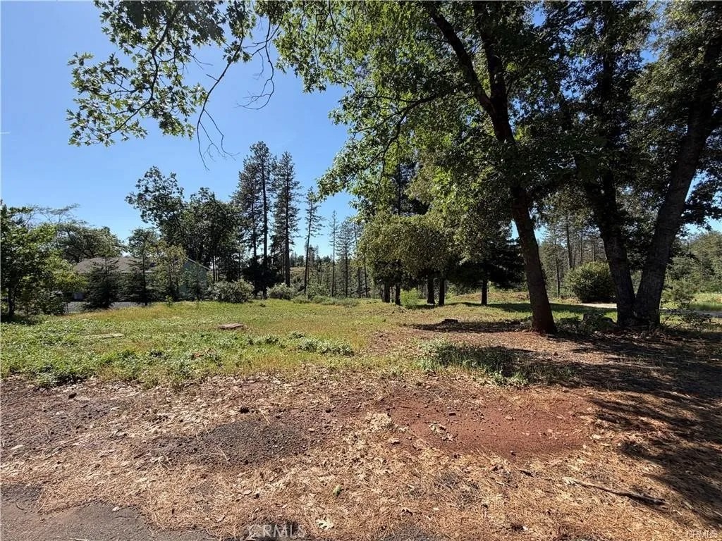 5665 Chaney