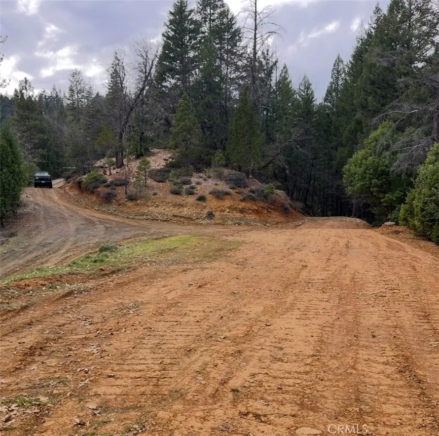38041 State Highway 3
