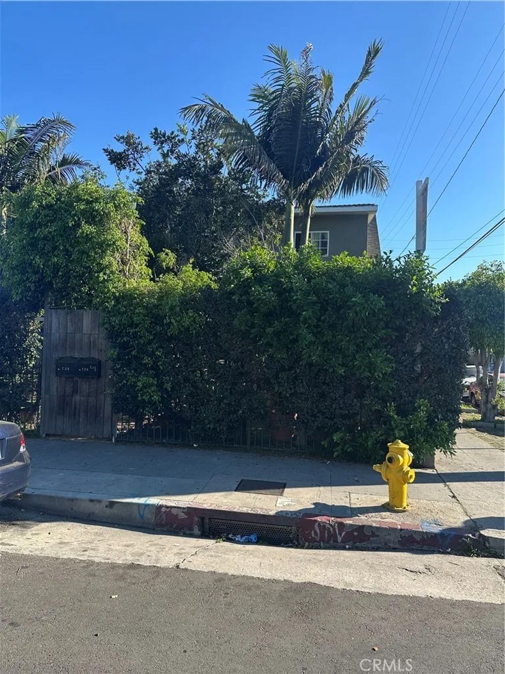 Photo of 736 W 41st Place, Los Angeles, CA 90037 (MLS # DW26081633)