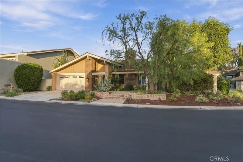5041 Corkwood