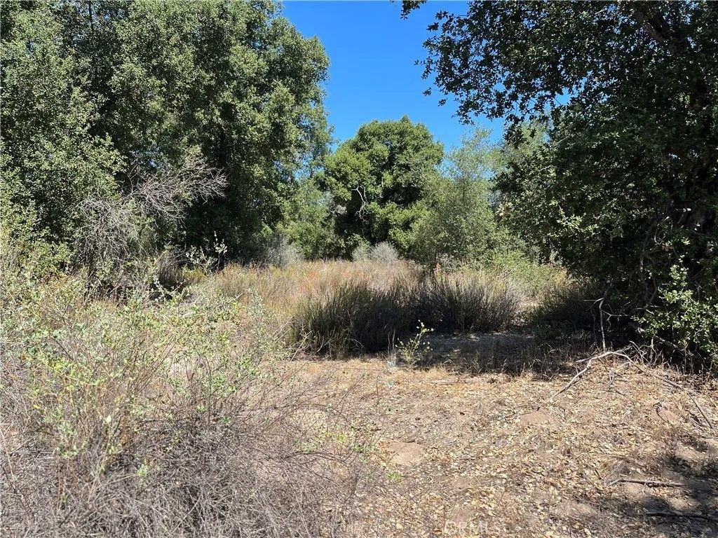Photo of 35010 Willow Creek Rd, Hemet, CA 92544 (MLS # SW26060572)