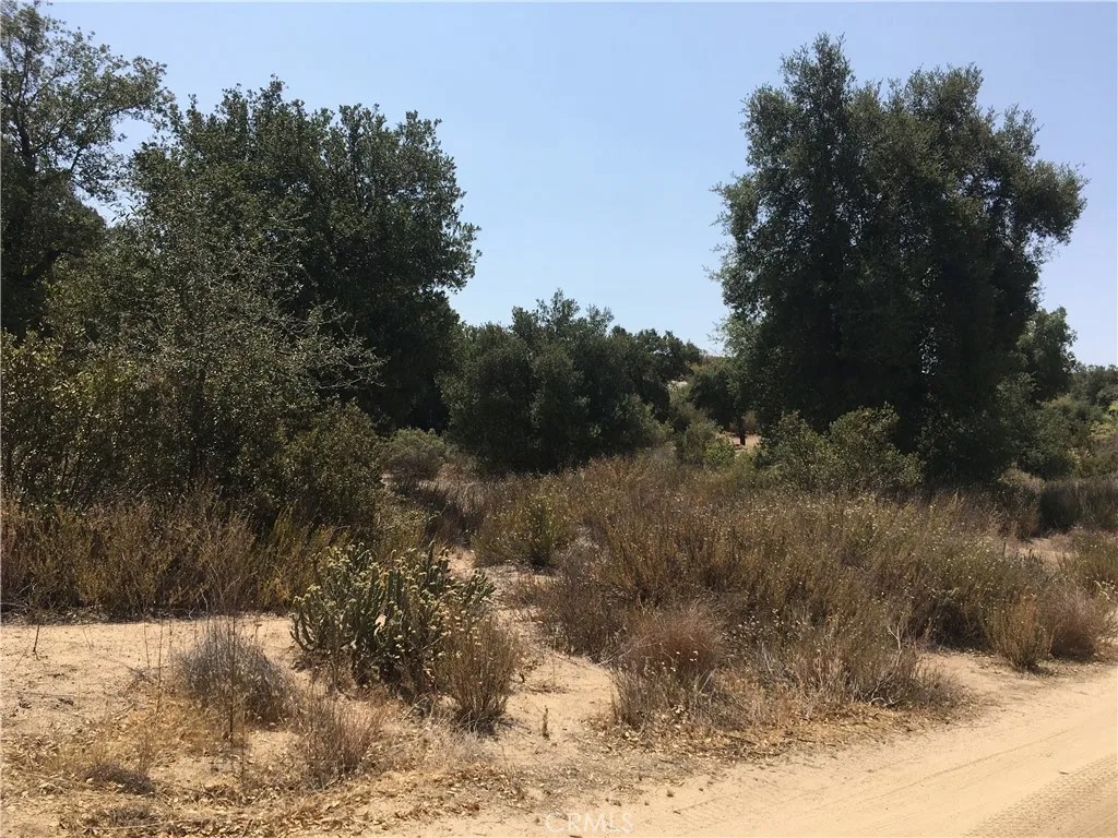 35010 Willow Creek Rd.