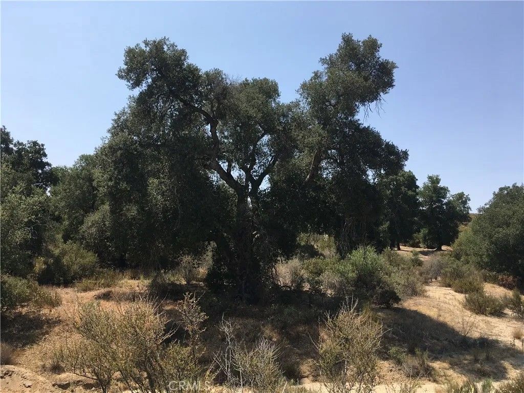 Photo of 35010 Willow Creek Rd, Hemet, CA 92544 (MLS # SW26060572)