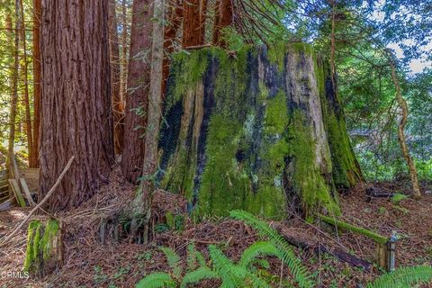 Tiny photo for 44720 Jack Peters Creek Road, Mendocino, CA 95460 (MLS # C1-11256)