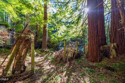 Tiny photo for 44720 Jack Peters Creek Road, Mendocino, CA 95460 (MLS # C1-11256)