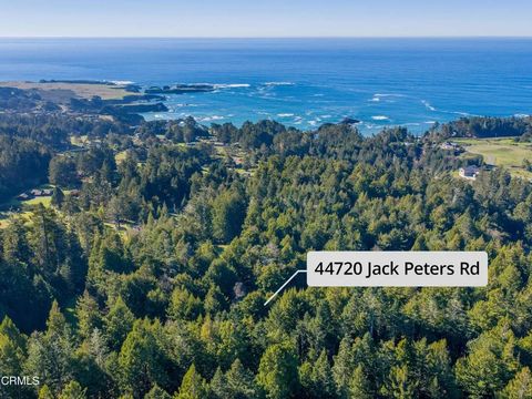 Photo of 44720 Jack Peters Creek Road, Mendocino, CA 95460 (MLS # C1-11256)