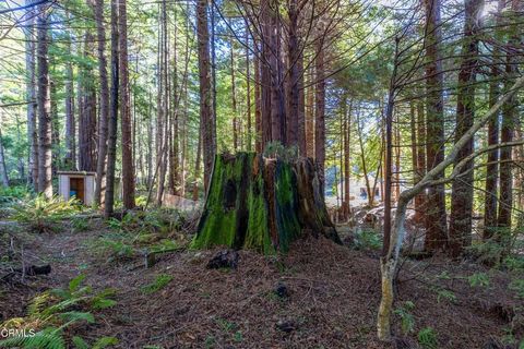 Tiny photo for 44720 Jack Peters Creek Road, Mendocino, CA 95460 (MLS # C1-11256)