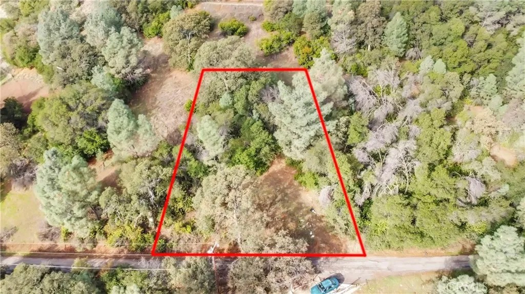 12636 Lakeview
