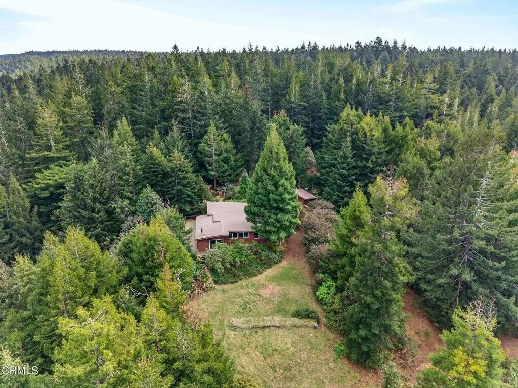 Photo of 2900 Cameron Road, Elk, CA 95432 (MLS # C1-11325)