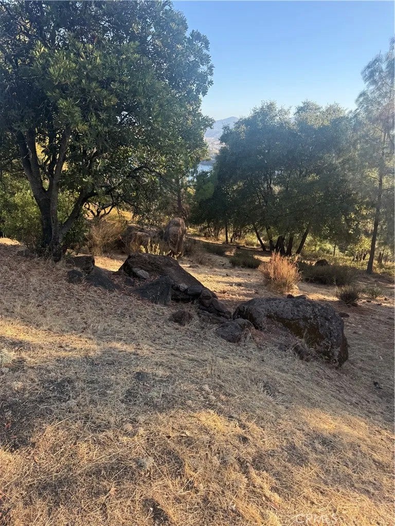 16523 Crescent