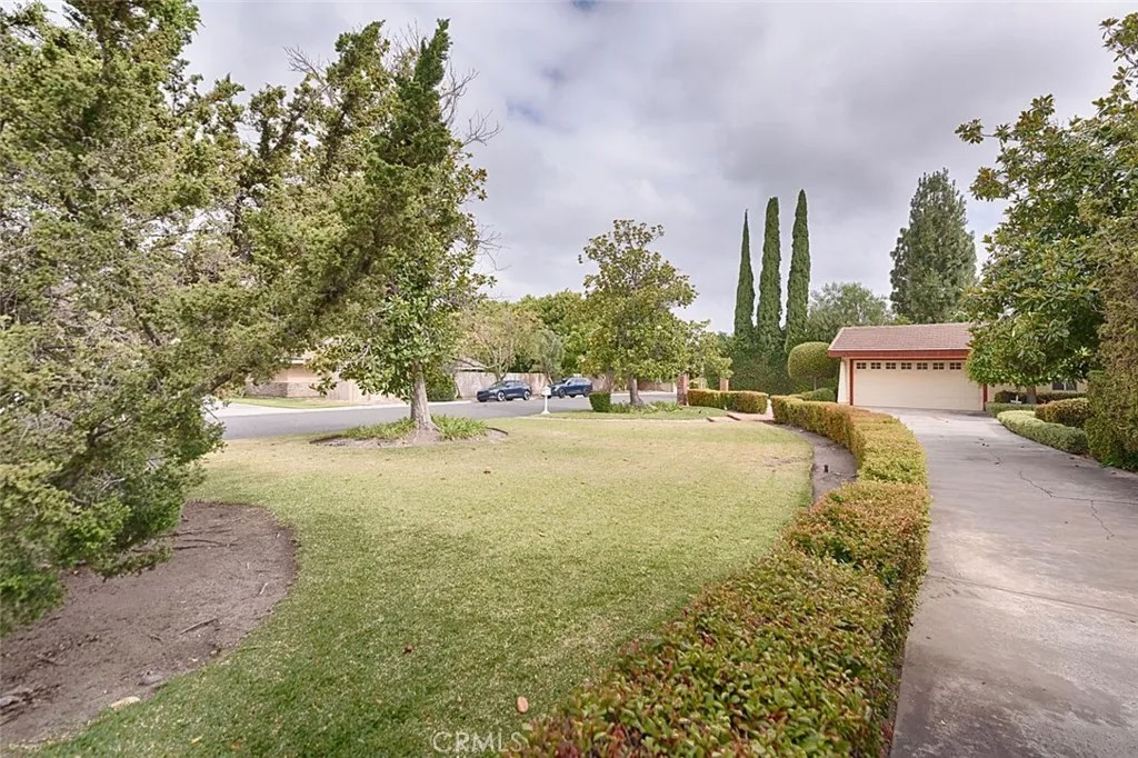 10162 Knuth Circle
